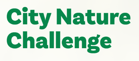 City Nature Challenge-2024