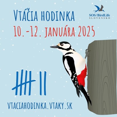 Projekt-Vtacia-hodinka-2025