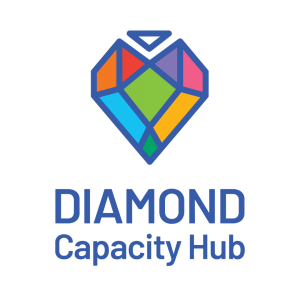 Obrázok-diamond_capacity_hub